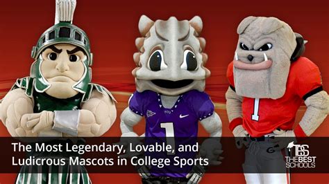 The Symbolic Power of Mascots: The Overlooked Answer Key